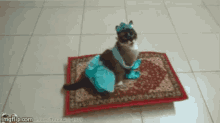 Princess Cat GIF - Magic Carpet Cat Alladin GIFs