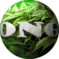 a green circle with the word ong written on it