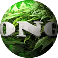 a green circle with the word ong written on it