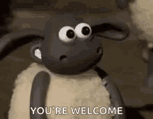 Youre Welcome Thumbs Up GIF - Youre Welcome Thumbs Up GIFs