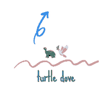 rd turtle dove