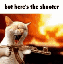 but heres the kicker but heres the shooter cat gun cat with gun