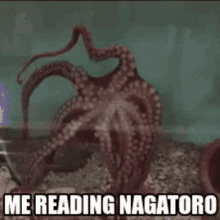 Me Reading Nagatoro Nagatoro GIF - Me Reading Nagatoro Nagatoro Miss Nagatoro GIFs