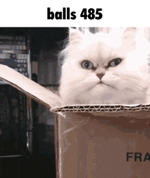 a cat sitting in a cardboard box with the words balls 485 below it