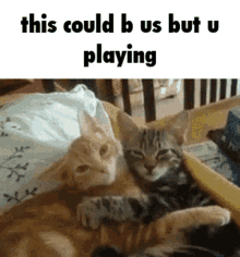 This Could Be Us Cuddle GIF - This Could Be Us Cuddle Cat GIFs