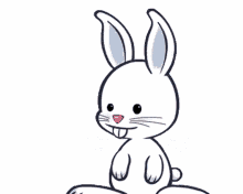 desenho bunny coelho pascoa duvida