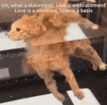 Oh What A Statement GIF - Oh What A Statement Love Is Embracement GIFs