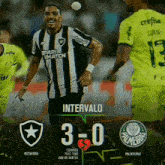 Palmeiras Palmeiras X Botafogo GIF