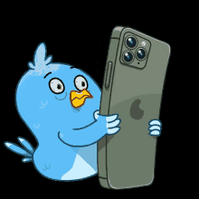 Smash Iphone GIF - Smash Iphone Bird GIFs