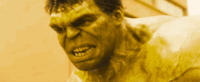 Hulk What Do You Want GIF - Hulk What Do You Want Avengers GIFs