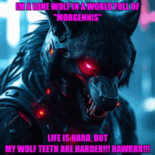 a picture of a lone wolf in a world full of morgennis