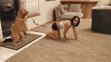 Role Reversal Dog GIF - Role Reversal Dog Get Back Here GIFs