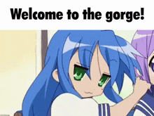 a girl with blue hair and green eyes is standing next to another girl with purple hair and the words welcome to the gorge on the bottom