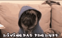 Living Dat Pug Lyfe GIF - Pug Life Gangster GIFs