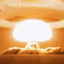 Furry Shenanigans GIF - Furry Shenanigans GIFs