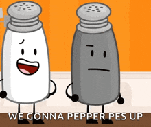 saltpep salt and pepper salt pepper inanimate insanity