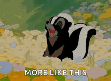 a cartoon of a skunk in a field of flowers with the words more like this below it