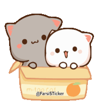 two cartoon cats are sitting in a box that says mitoocat
