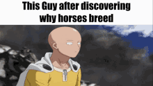 This Guy Discovery GIF - This Guy Discovery Horses GIFs