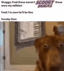 Scooby Doo GIF