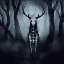 Deer Skeleton GIF - Deer Skeleton Shadow GIFs