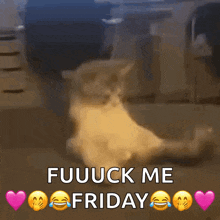 a picture of a cat with the words " fuuuck me friday " below it