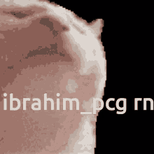 Ibrahim_pcgrn Ibrahim_pcg GIF