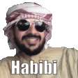 Habibi Meme Sticker - Habibi Meme Funny Stickers