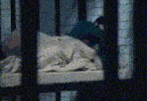 a person is laying on a bed in a jail cell behind bars