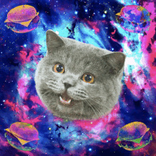 宇宙ねこ チーズバーガー GIF - Space Cat Cheeseburger GIFs