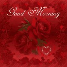 good morning rose