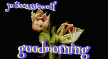 a juliecassiewolf good morning greeting with flowers