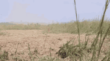 Off Road GIF - Off Road Offroad GIFs