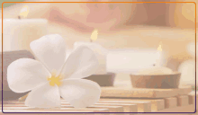 special day spa packages toronto massage near me day spa in toronto
