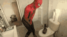 Spiderman Meme GIF - Spiderman Meme Funny GIFs