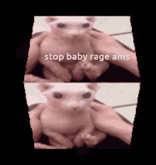 Mad Anis GIF - Mad Anis Stop Being Mad GIFs