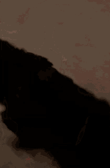 Bowser Dog GIF