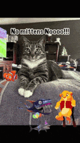 a cat laying on a bed with the words no mittens noooo on the bottom right