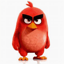 Red Angry Birds GIF - Red Angry Birds GIFs