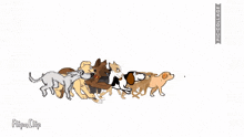 a group of dogs are running in a line with the words flipa clip on the bottom right