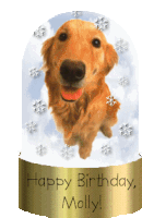 Happy Birthday Molly Sticker - Happy Birthday Molly Dog Stickers