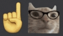 a cat wearing glasses is pointing up next to a yellow hand .