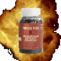 a bottle of focus fuel mushroom extract complex gummy vitamins