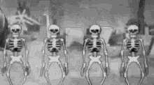 Skeleton Halloween GIF - Skeleton Halloween Dance GIFs