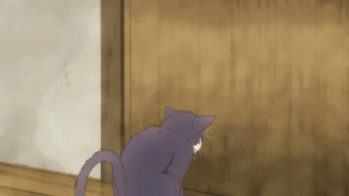 bakugo cat pfp  Anime kitten Cat memes Funny anime pics
