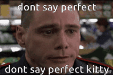 Dont Say It Perfect Kitty GIF - Dont Say It Perfect Kitty Perfect GIFs