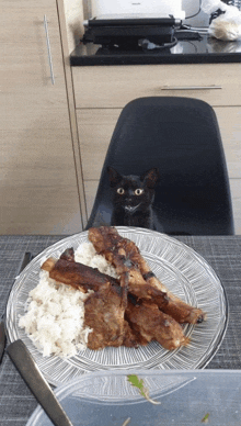 a black cat is sitting on a chair looking at a plate of food
