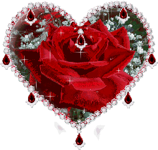 Sparkling Red Roses Sticker - Sparkling Red Roses Flowers Stickers