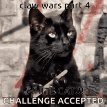 Claw Wars Part4 Challenge Acceptedscene GIF