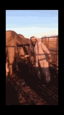 a blurry picture of a man standing next to a camel